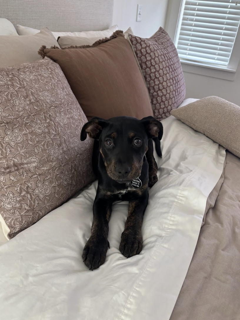 Screenshot 2026-04-03 at 1.10.06 PM.png