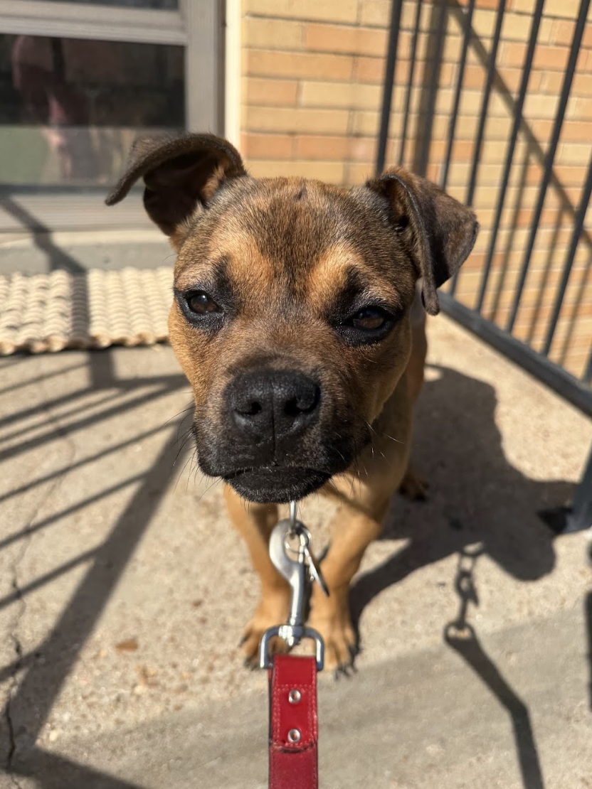 Screenshot 2026-04-14 at 3.11.54 PM.png