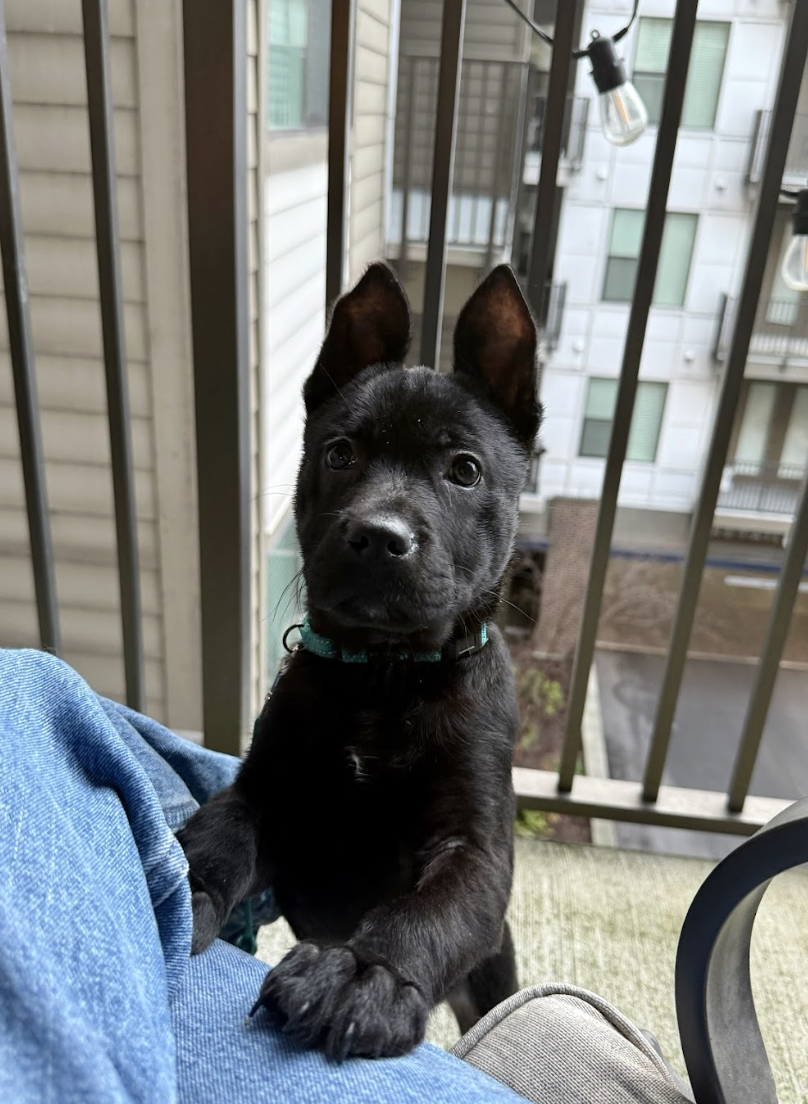 Screenshot 2026-02-20 at 3.43.32 PM.png