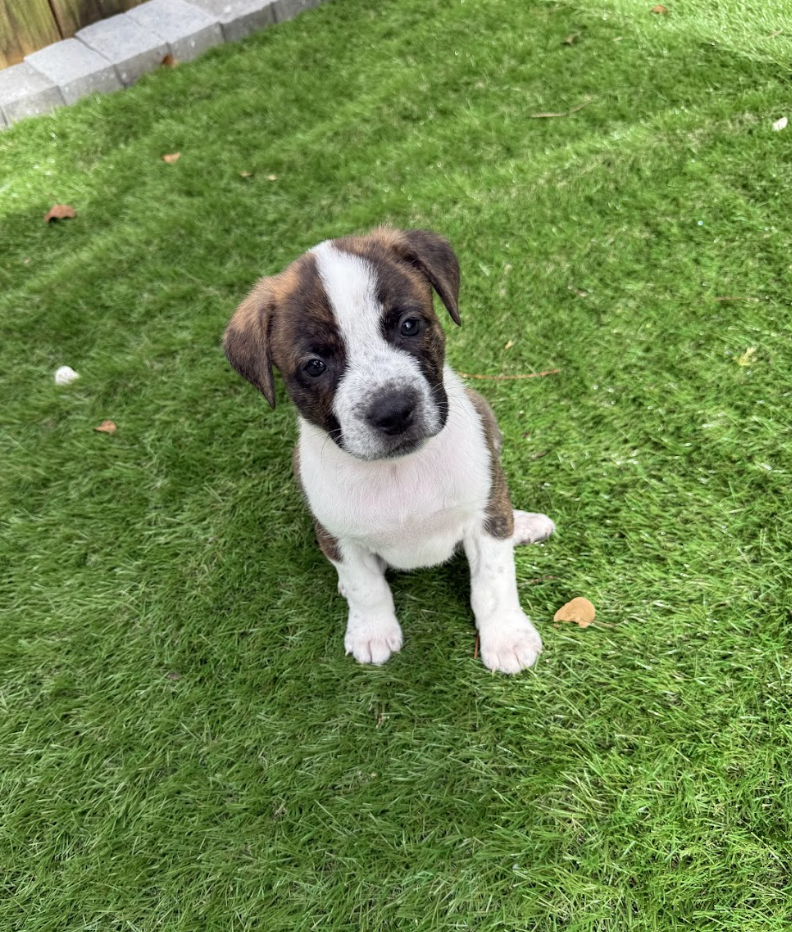 Screenshot 2026-03-27 at 7.57.08 PM.png