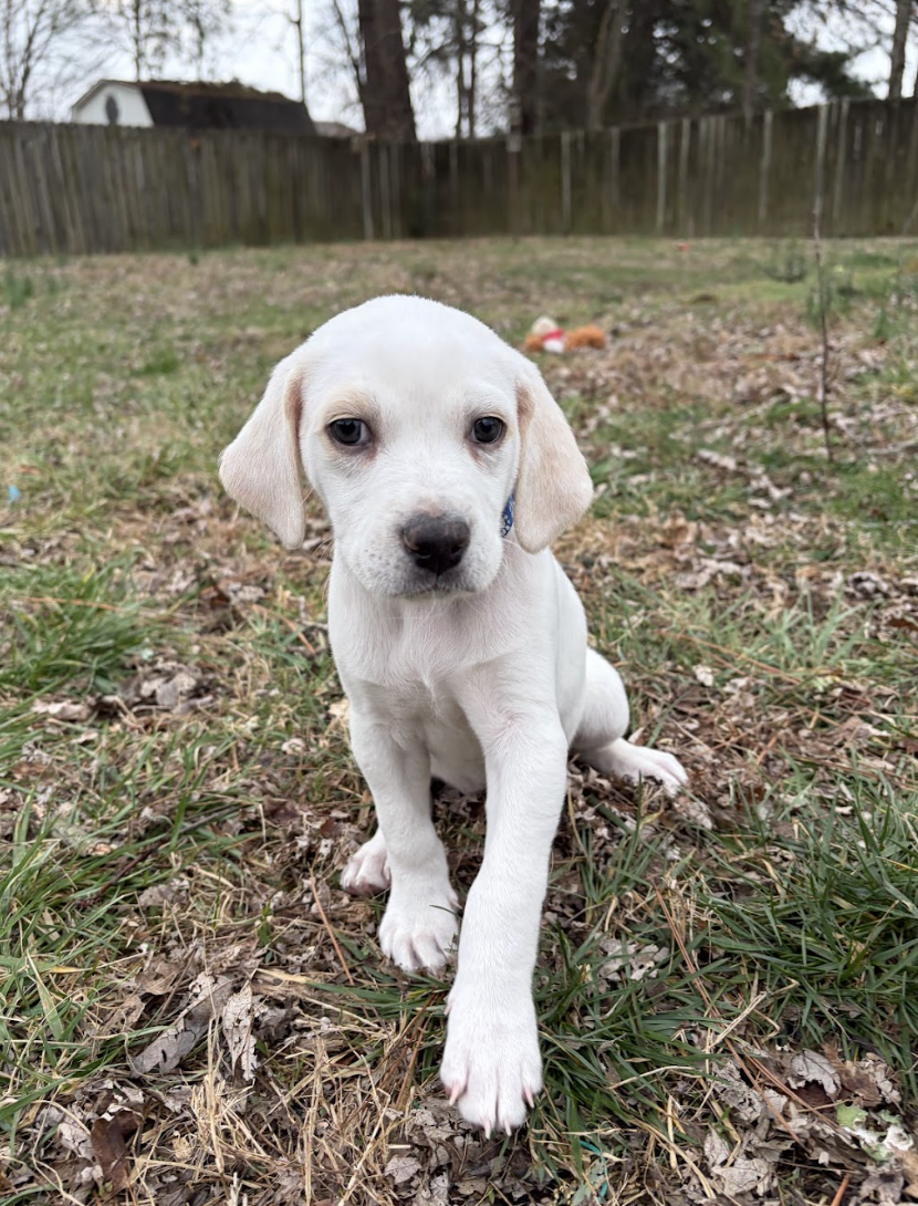 Screenshot 2026-03-10 at 8.57.06 PM.png