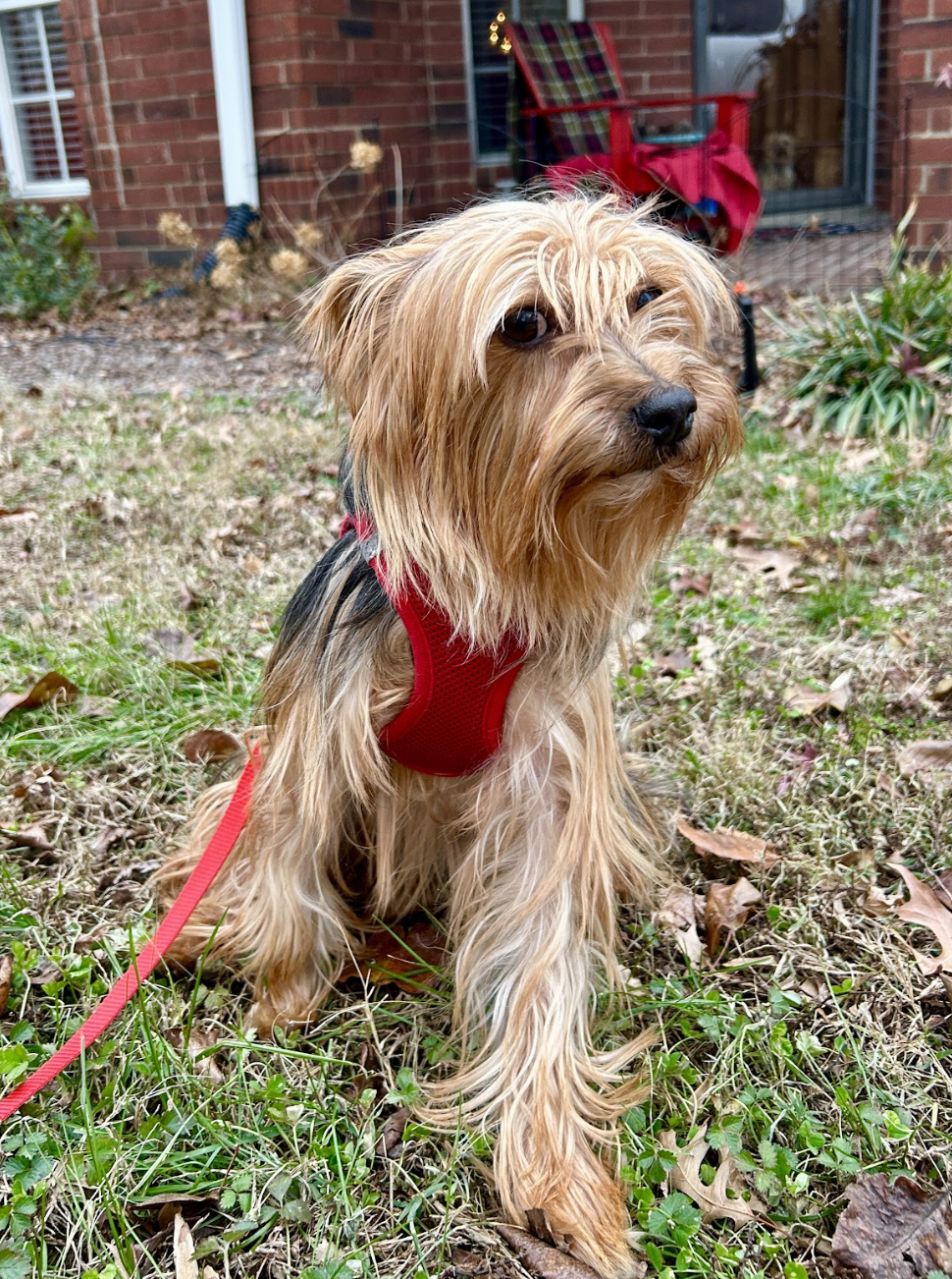 Screenshot 2025-12-26 at 5.09.11 PM.png