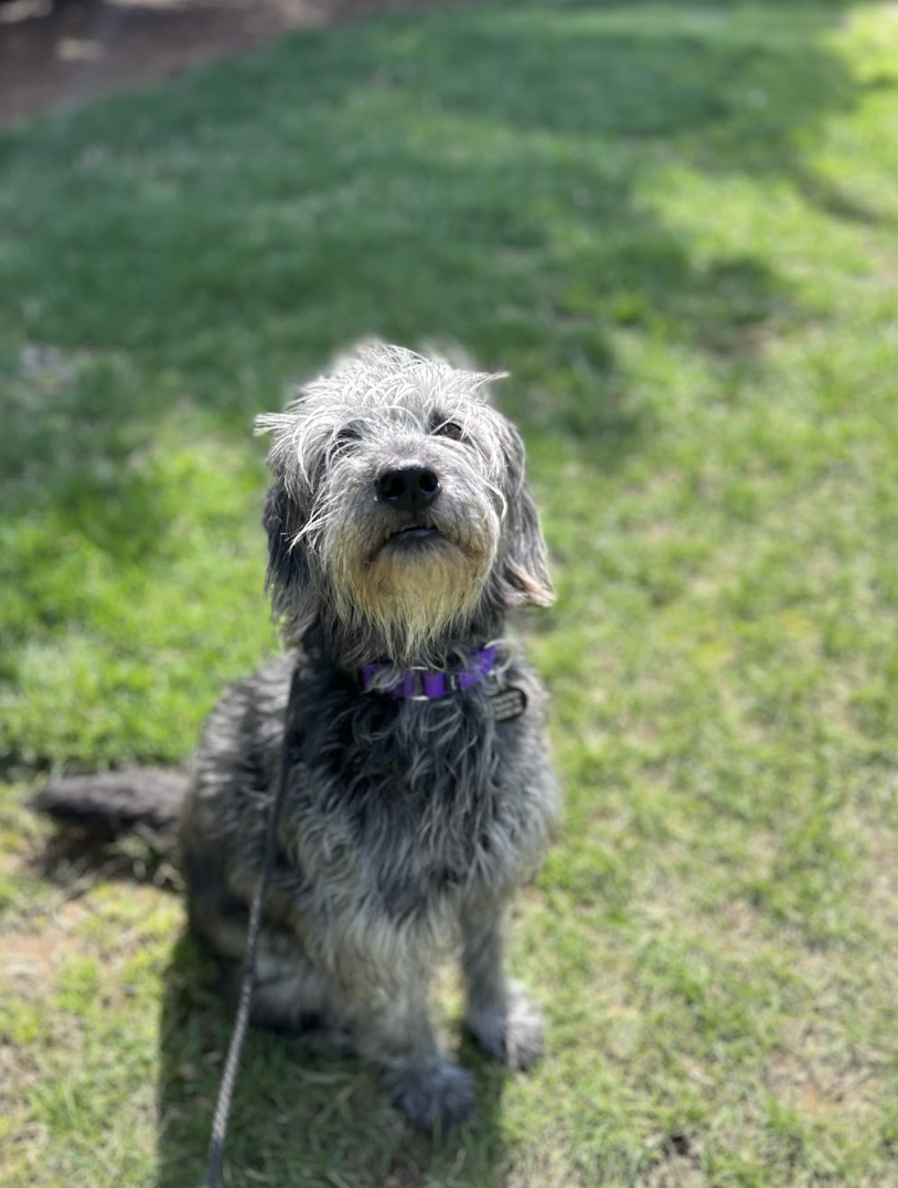 Screenshot 2026-03-14 at 4.48.35 PM.png