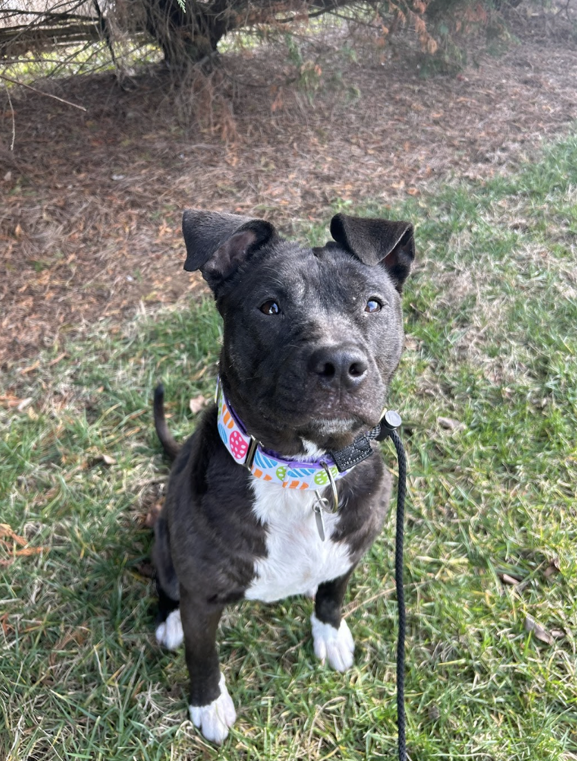 Screenshot 2026-02-13 at 4.56.14 PM.png