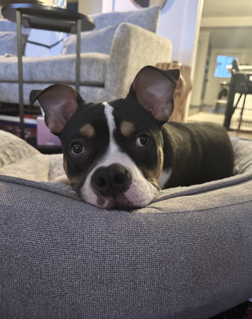 Screenshot 2026-03-06 at 2.21.58 PM.png