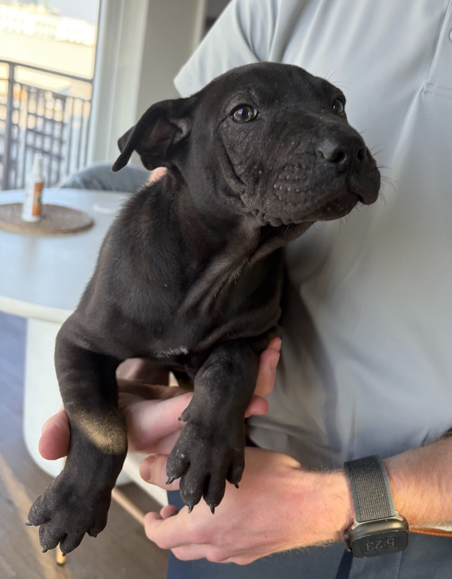 Screenshot 2026-03-30 at 12.58.43 PM.png