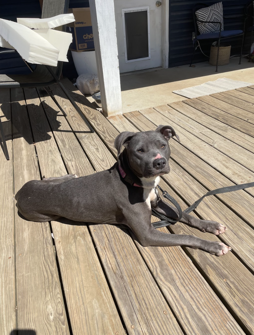 Screenshot 2026-04-22 at 3.37.56 PM.png