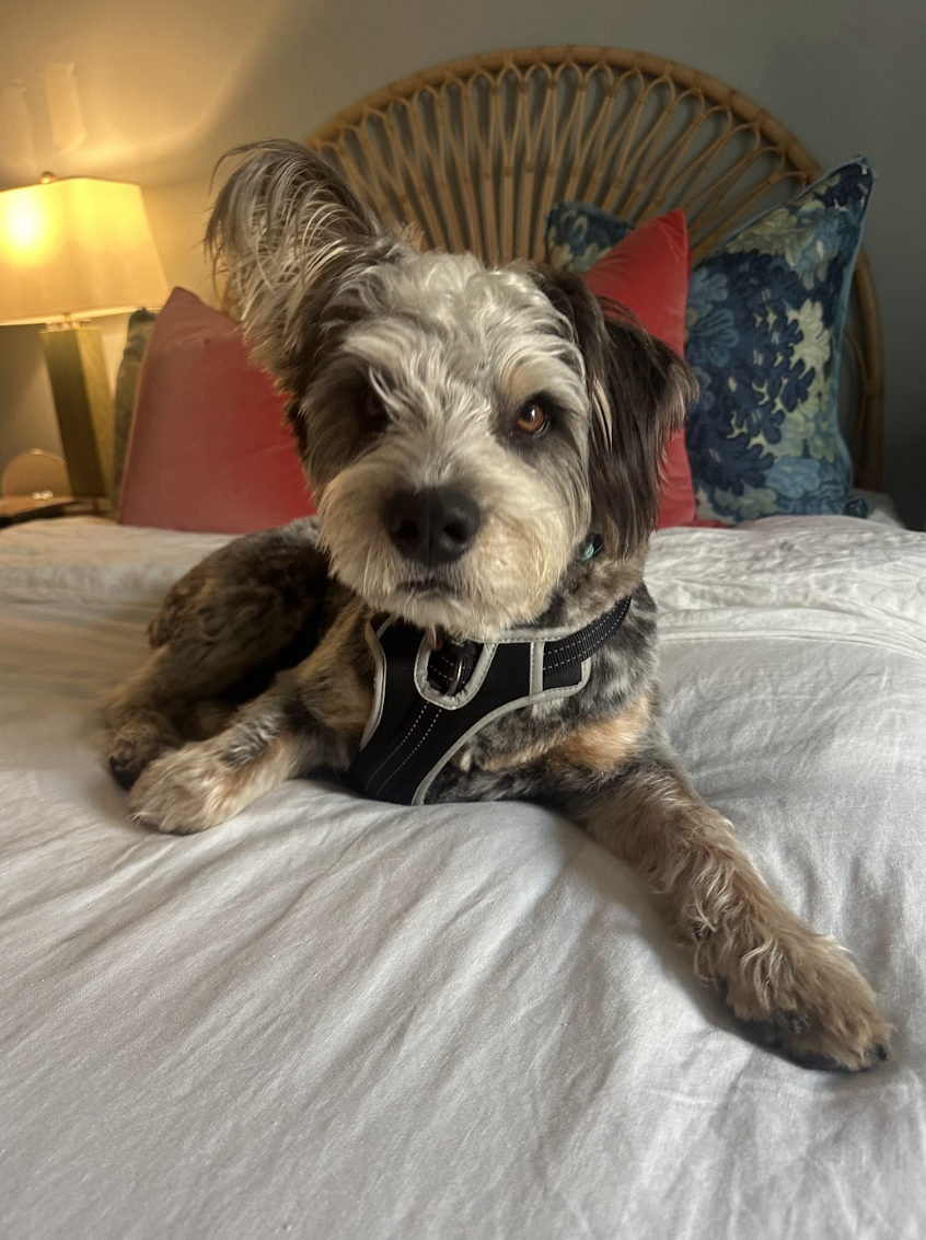 Screenshot 2026-04-22 at 6.00.54 PM.png