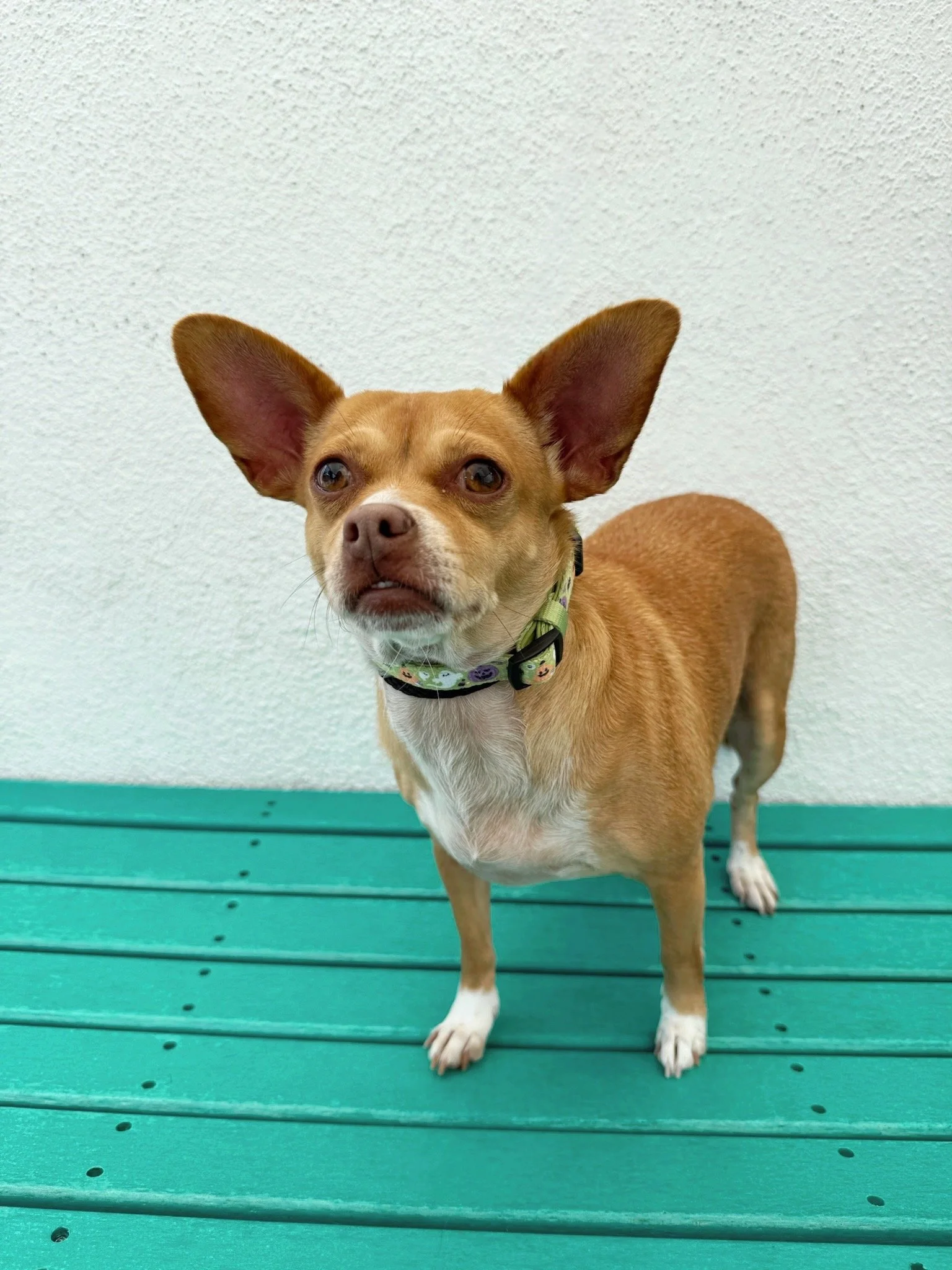 ACS_1518.JPG