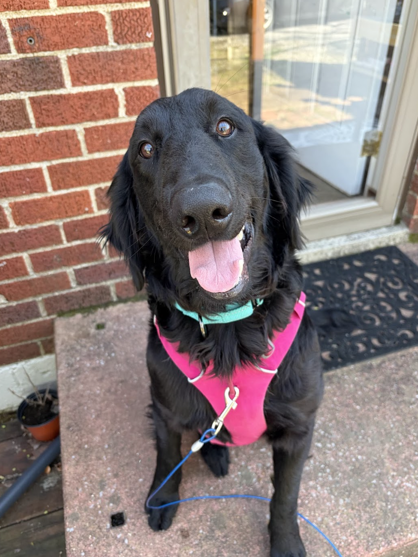 Screenshot 2026-03-20 at 3.22.27 PM.png