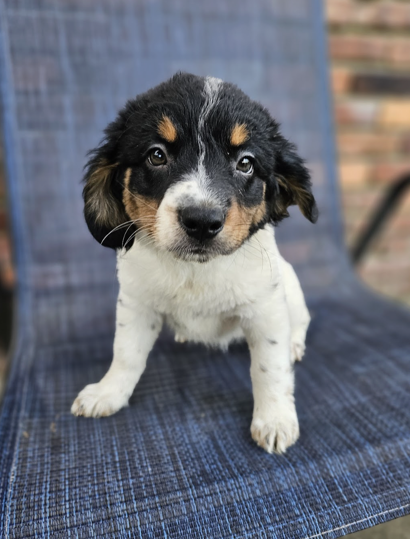 Screenshot 2026-04-03 at 1.01.32 PM.png