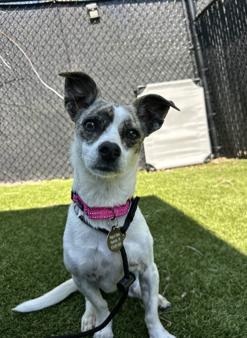 Screenshot 2026-04-22 at 3.25.51 PM.png