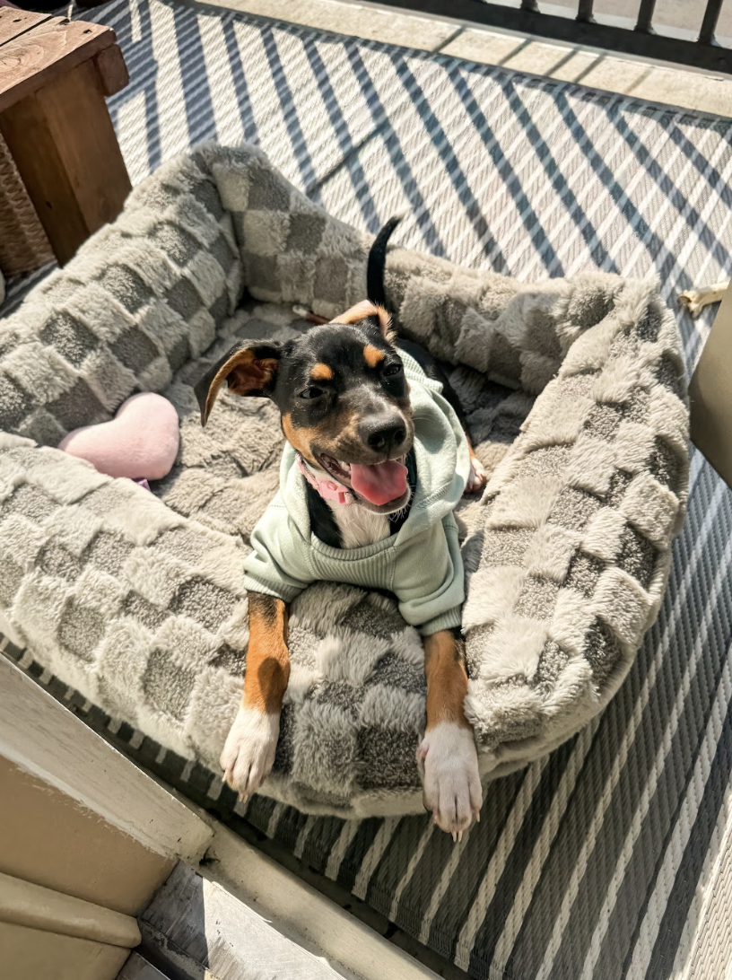 Screenshot 2026-03-25 at 3.04.50 PM.png