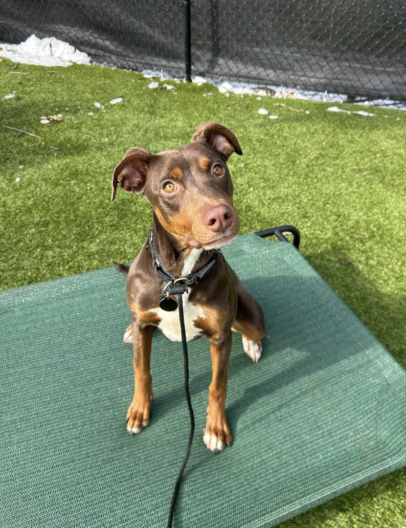 Screenshot 2026-01-30 at 4.43.27 PM.png