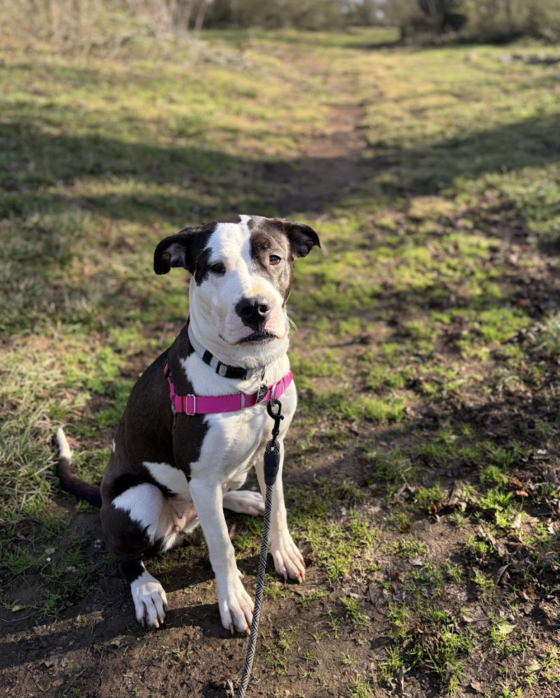 Screenshot 2026-04-21 at 5.30.56 PM.png