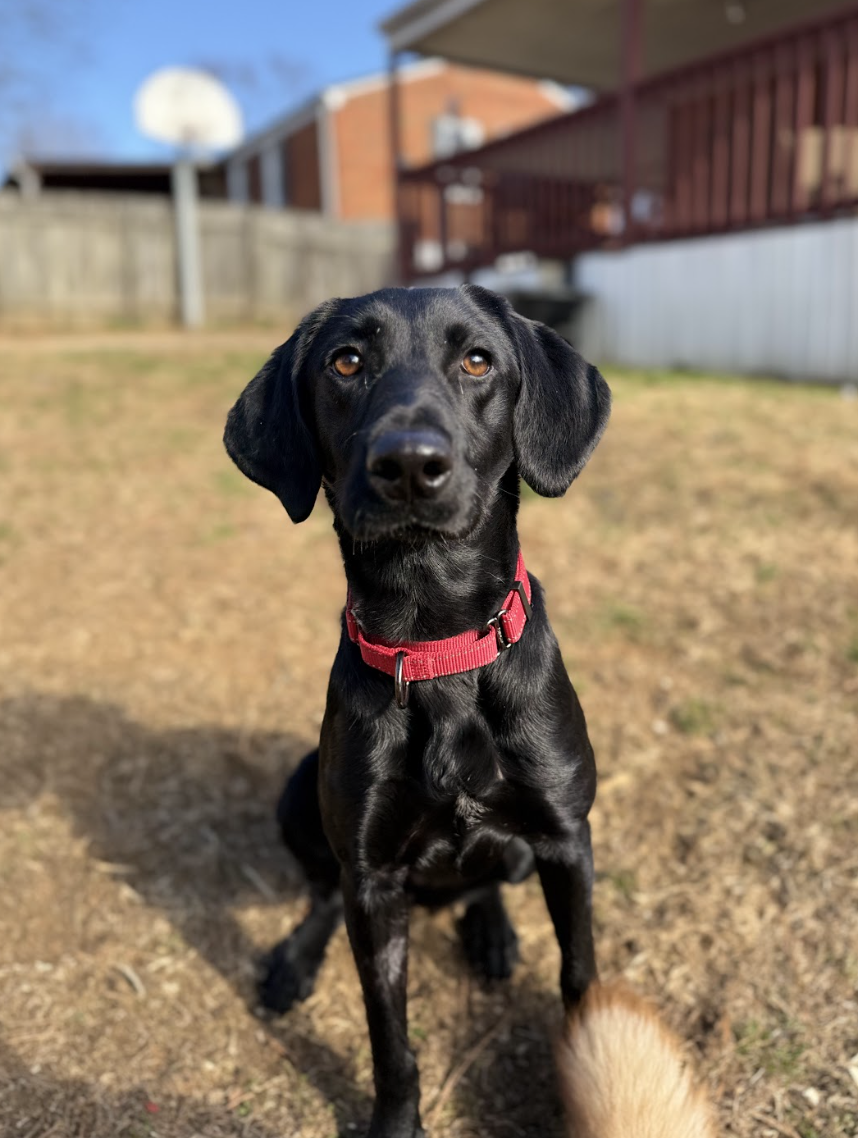 Screenshot 2026-01-06 at 4.35.16 PM.png