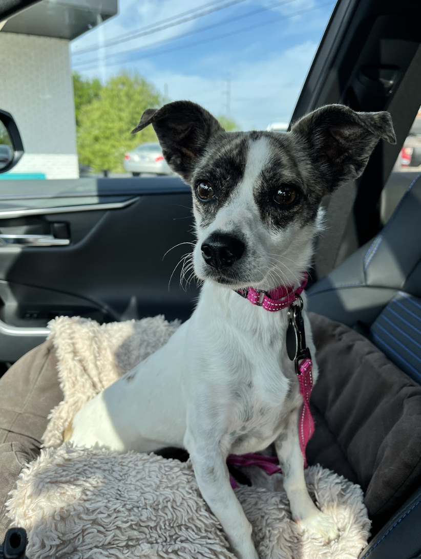 Screenshot 2026-04-22 at 3.25.44 PM.png