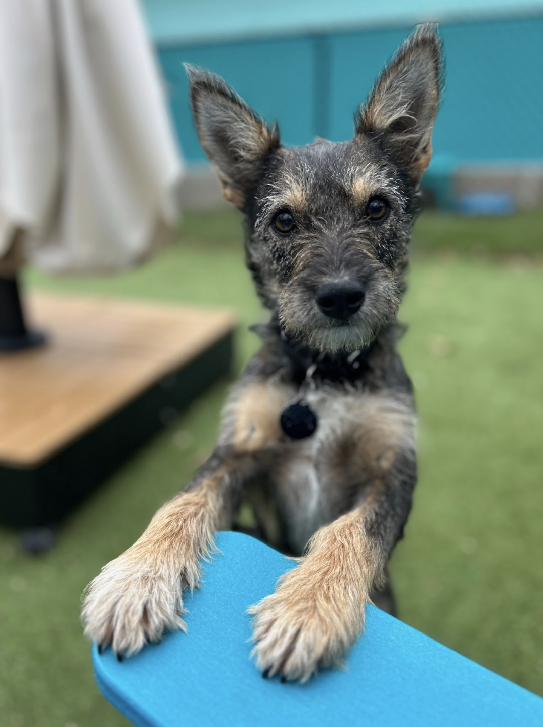 Screenshot 2025-12-04 at 3.22.23 PM.png