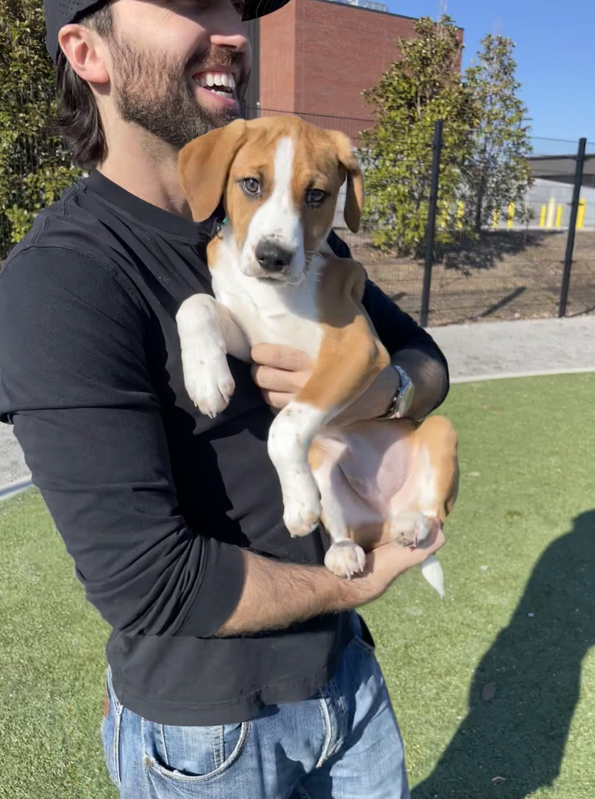 Screenshot 2026-02-13 at 1.23.45 PM.png