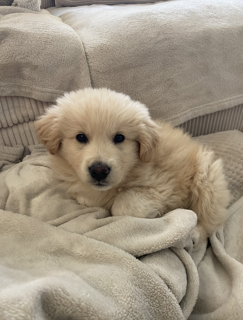 Screenshot 2026-04-16 at 4.58.45 PM.png