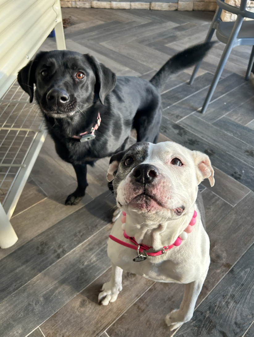 Screenshot 2026-03-30 at 6.30.30 PM.png