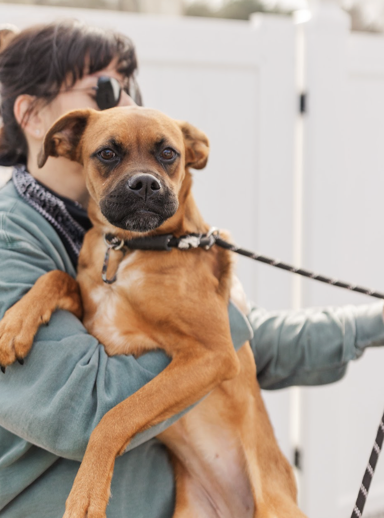 Screenshot 2026-03-20 at 2.28.00 PM.png