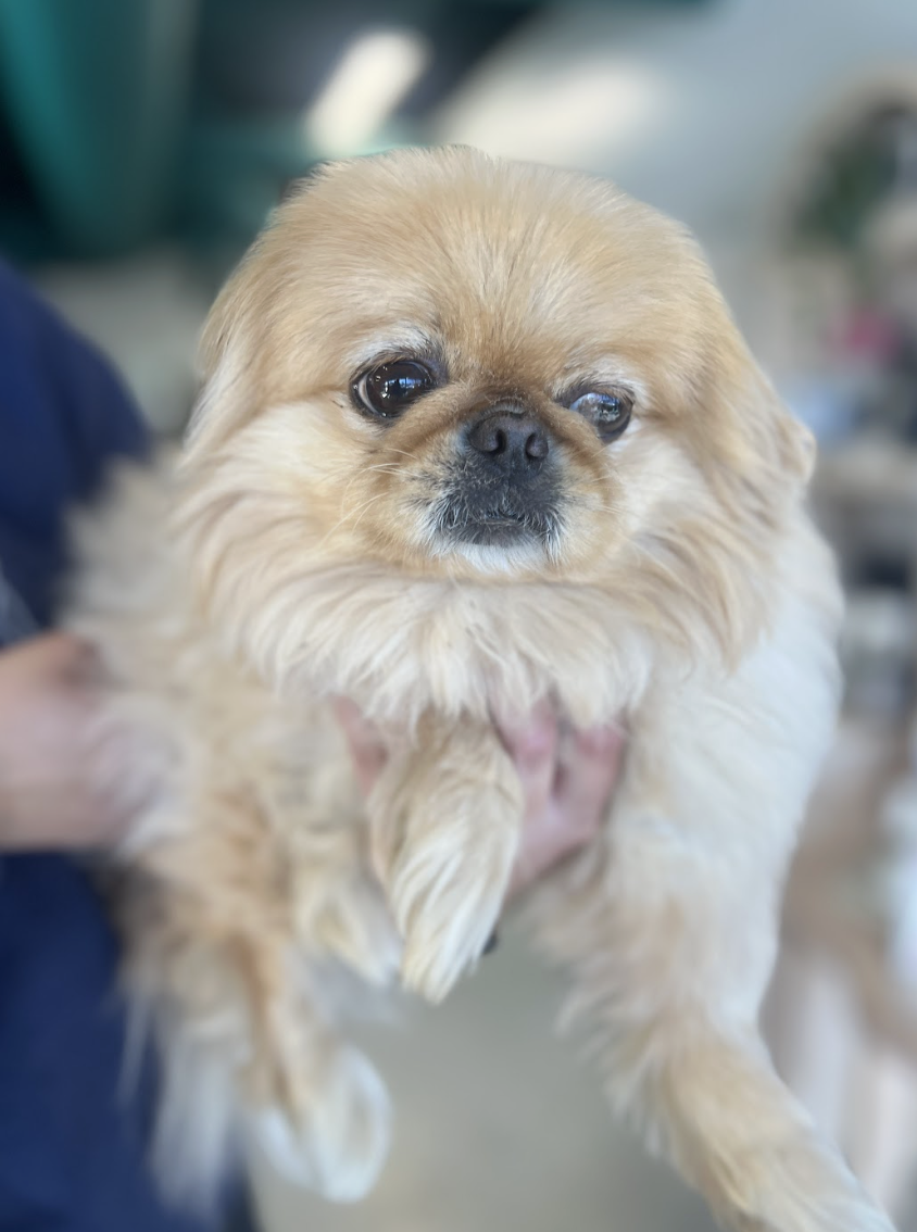 Screenshot 2026-03-14 at 4.40.31 PM.png