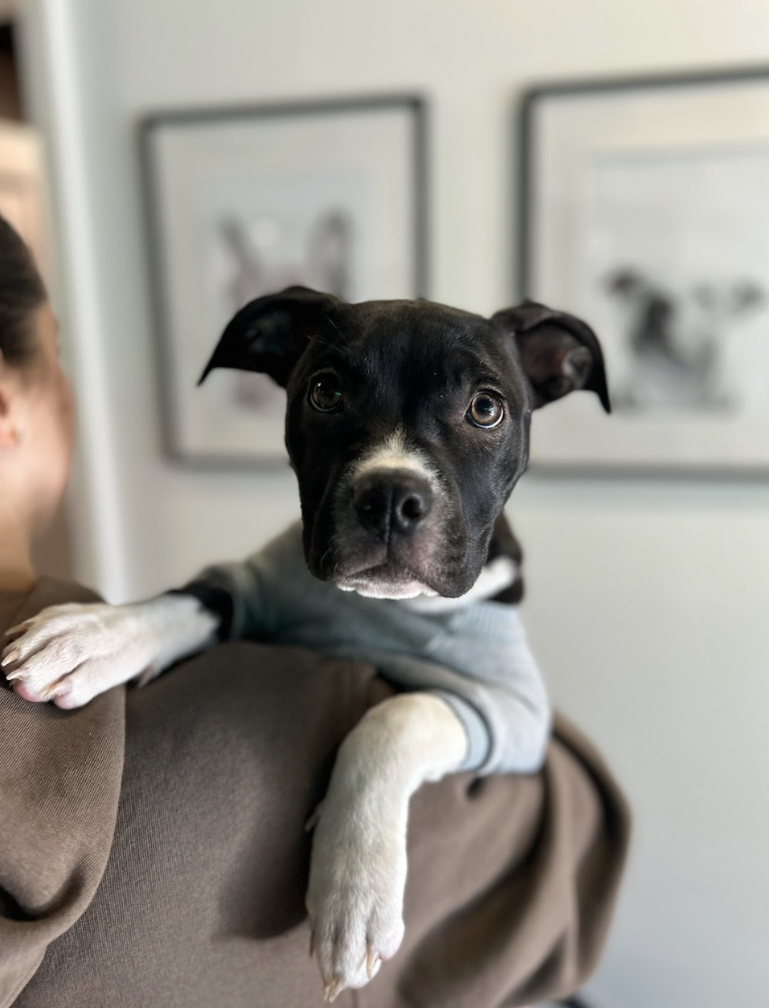 Screenshot 2026-01-13 at 4.00.06 PM.png