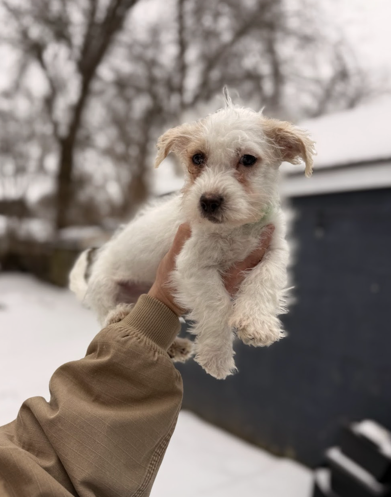 Screenshot 2026-01-24 at 7.42.47 PM.png