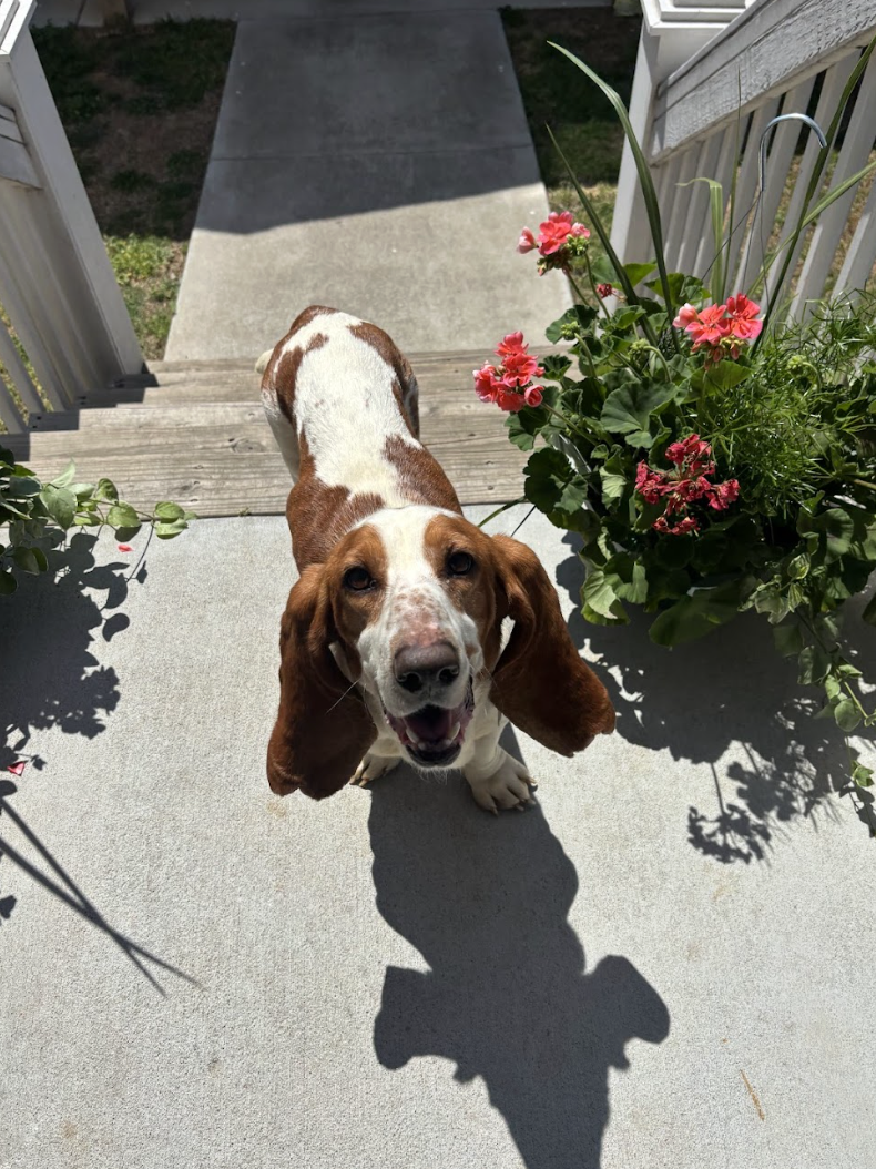 Screenshot 2026-04-13 at 3.22.05 PM.png