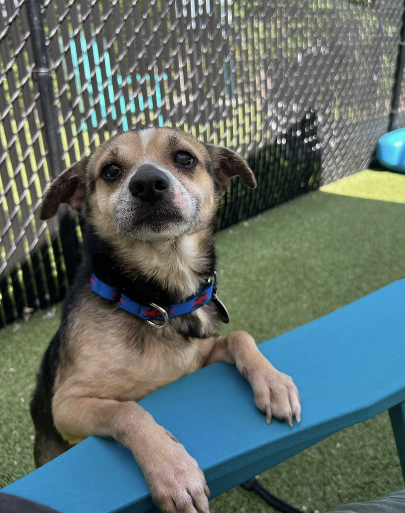 Screenshot 2026-04-28 at 2.08.41 PM.png