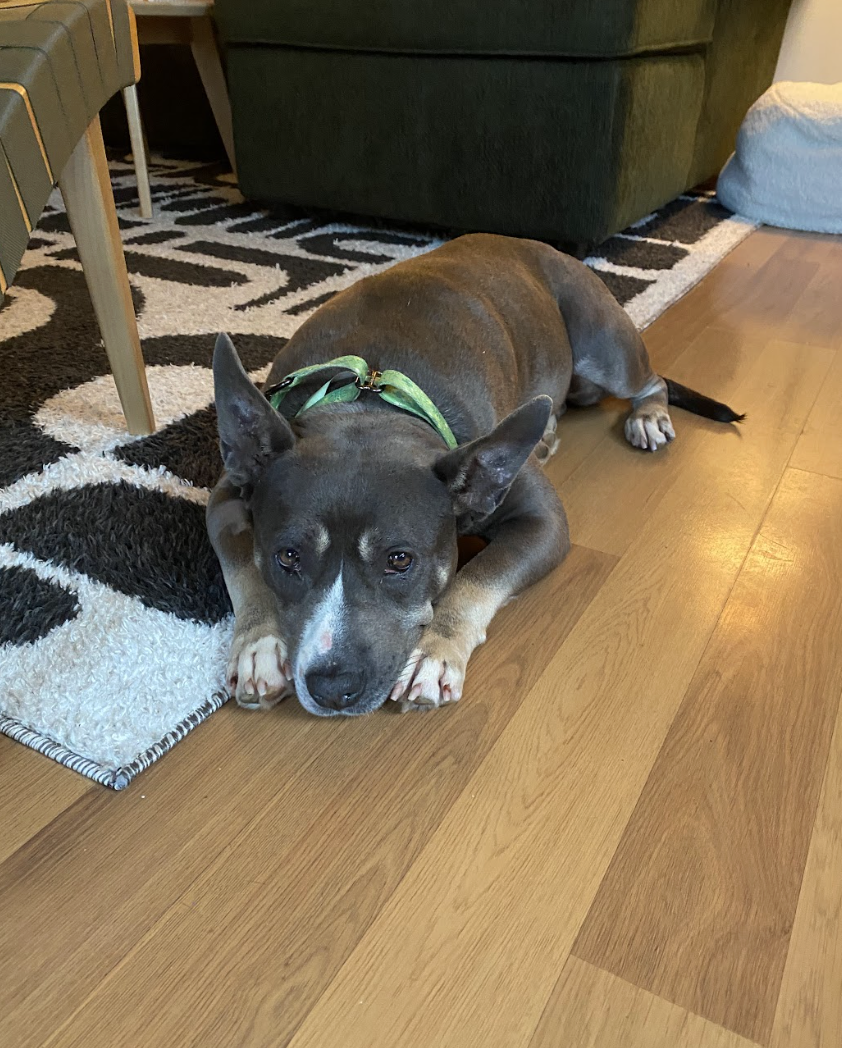 Screenshot 2026-04-14 at 3.09.19 PM.png