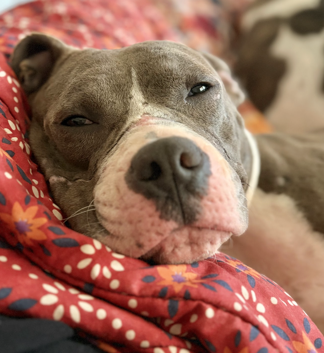 Screenshot 2026-04-20 at 1.20.43 PM.png