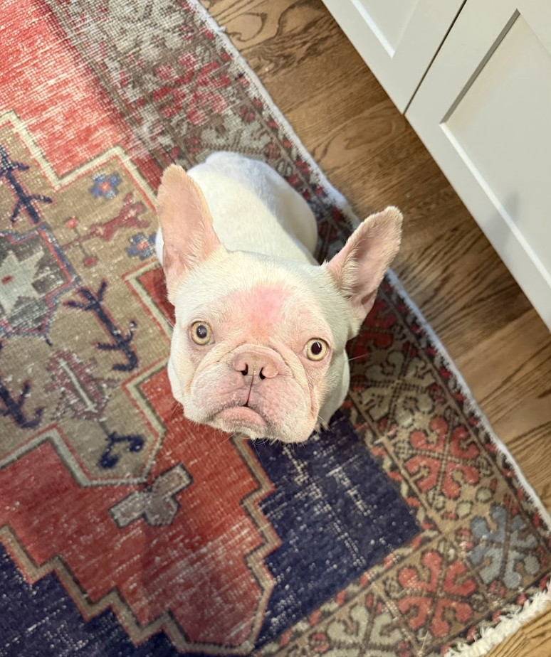 Screenshot 2026-04-28 at 2.14.43 PM.png