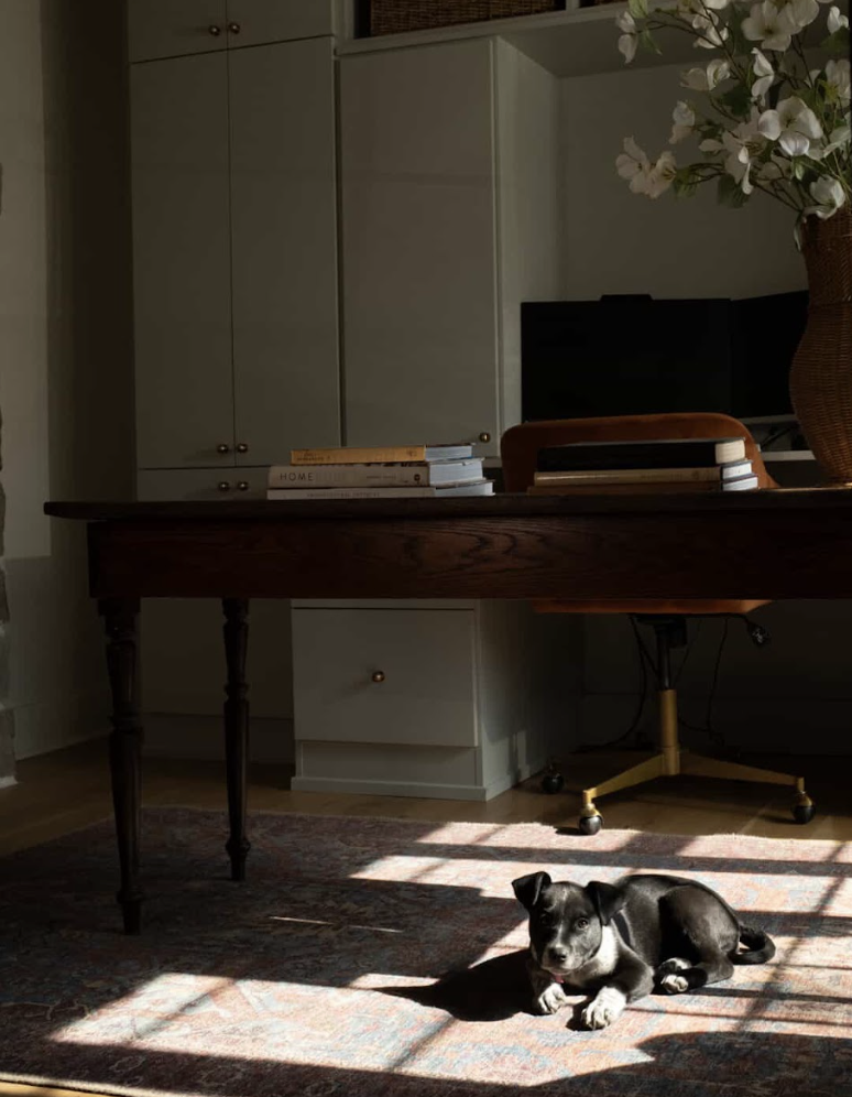 Screenshot 2026-02-05 at 6.35.52 PM.png