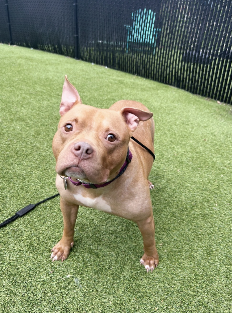 Screenshot 2026-04-22 at 5.58.27 PM.png