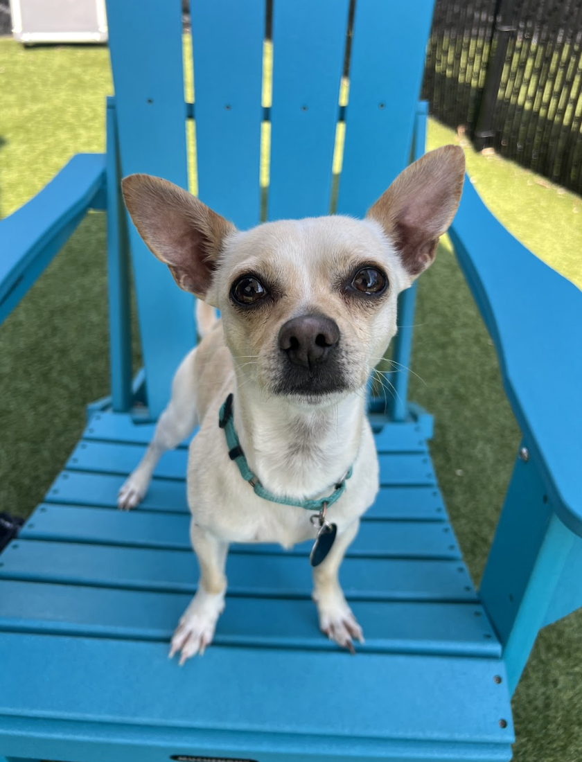 Screenshot 2026-03-20 at 4.07.17 PM.png