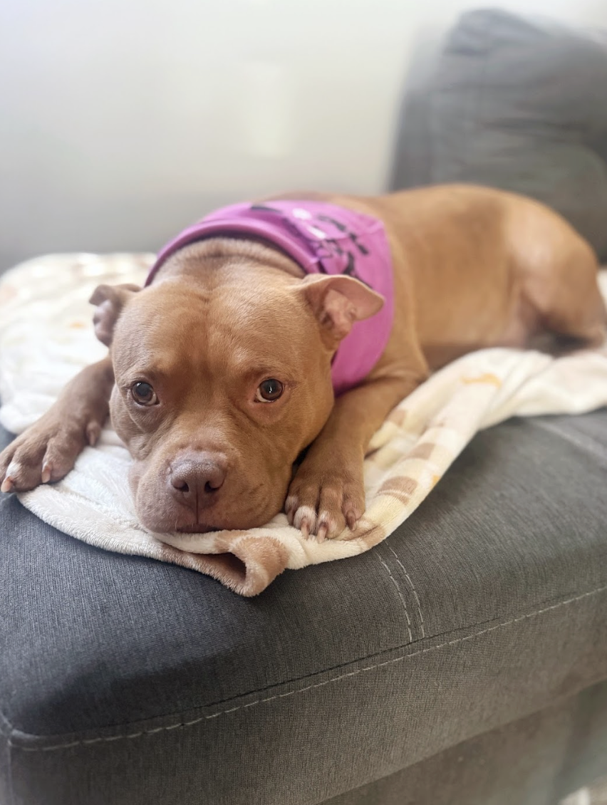 Screenshot 2026-04-22 at 5.56.12 PM.png