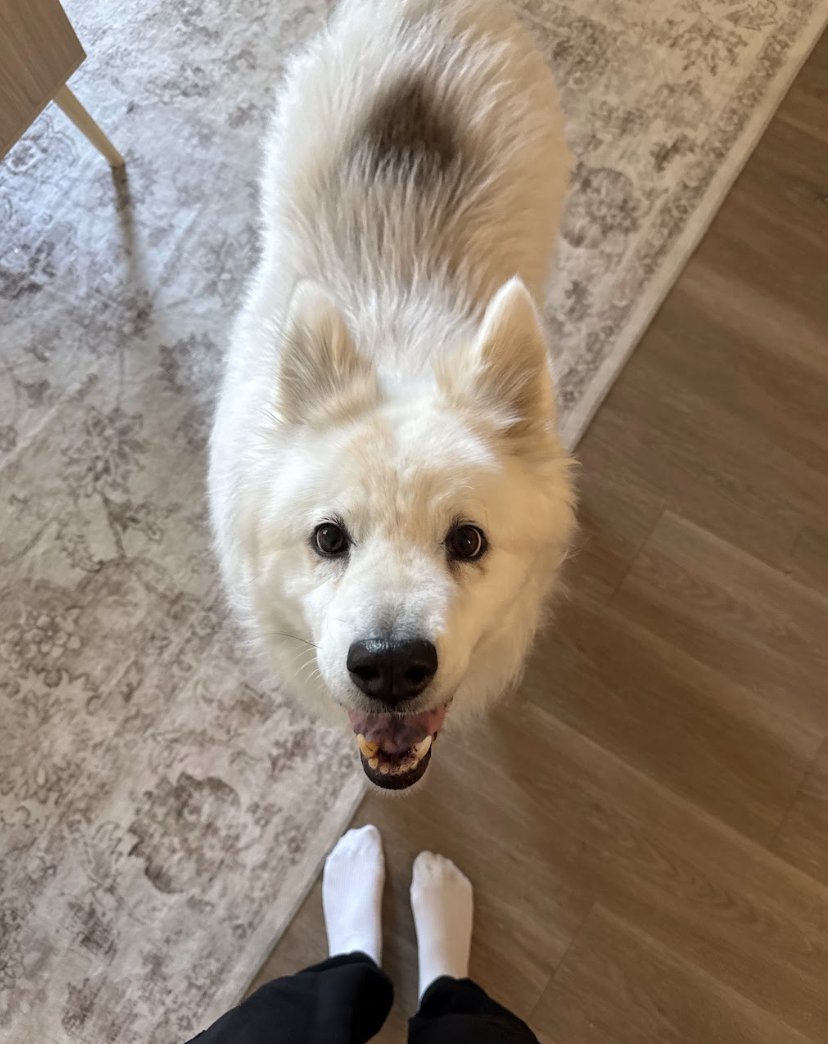 Screenshot 2026-03-24 at 12.30.31 PM.png