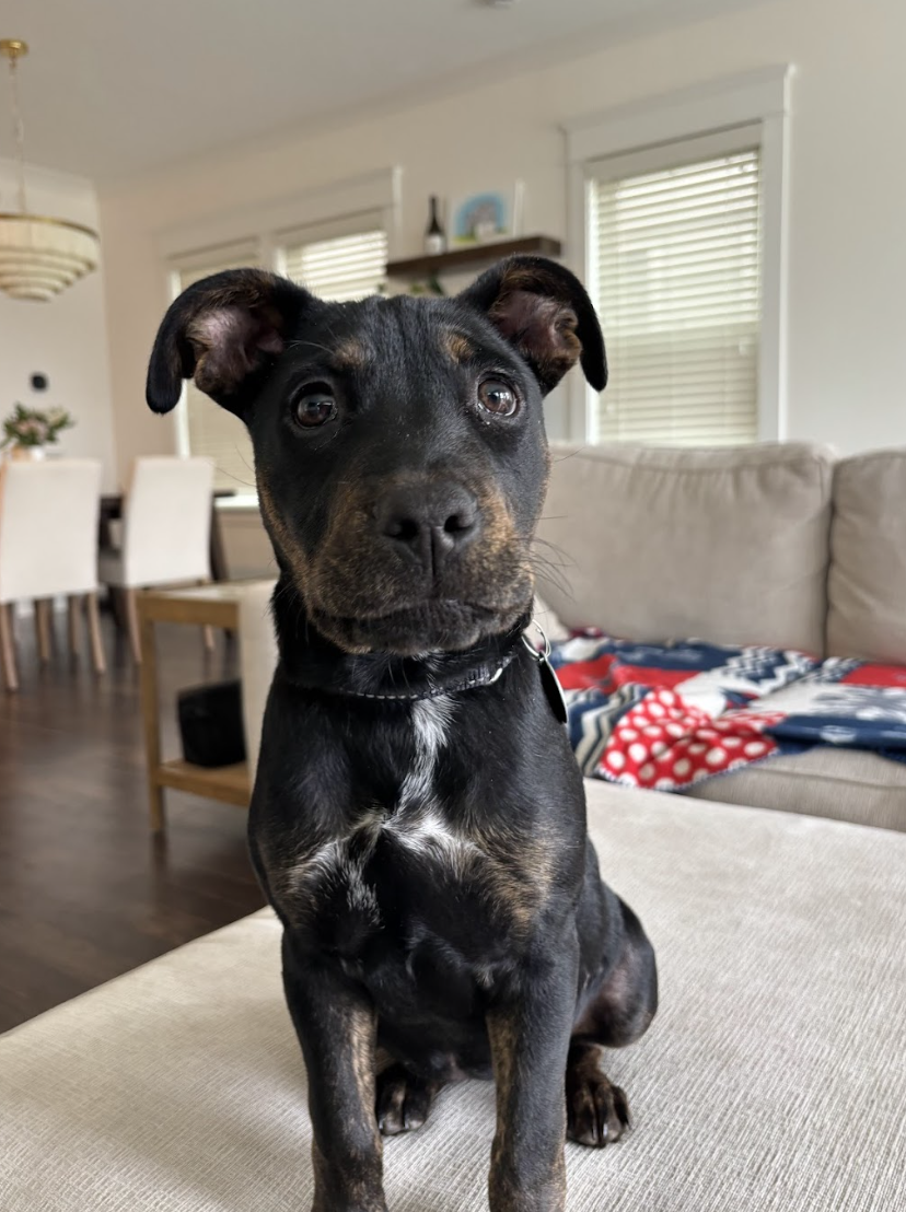 Screenshot 2026-04-03 at 1.09.53 PM.png