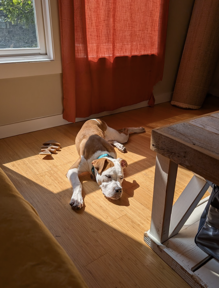 Screenshot 2025-10-16 at 5.01.13 PM.png