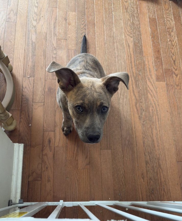 Screenshot 2026-04-03 at 2.27.21 PM.png