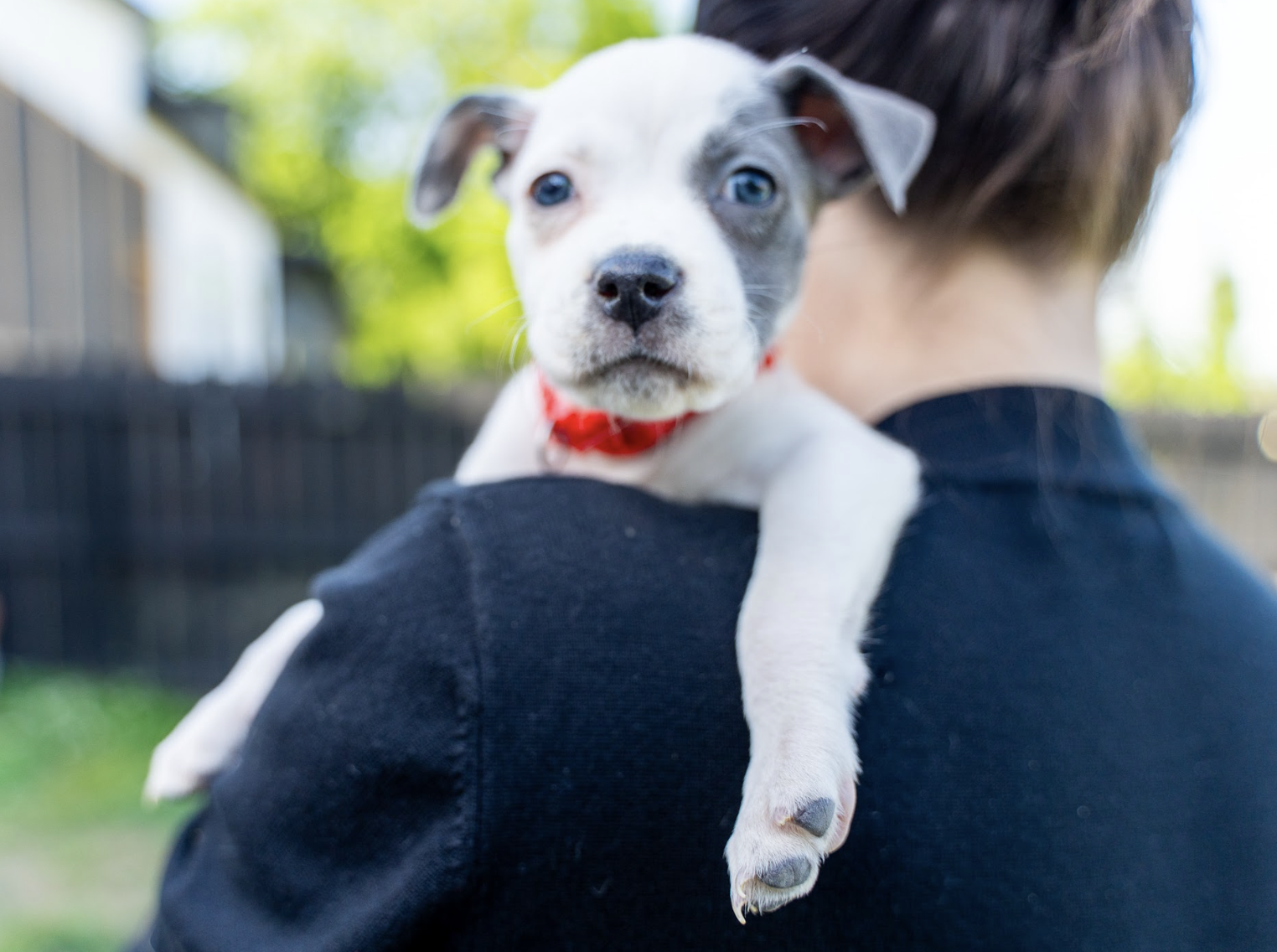 Screenshot 2026-04-23 at 2.16.28 PM.png