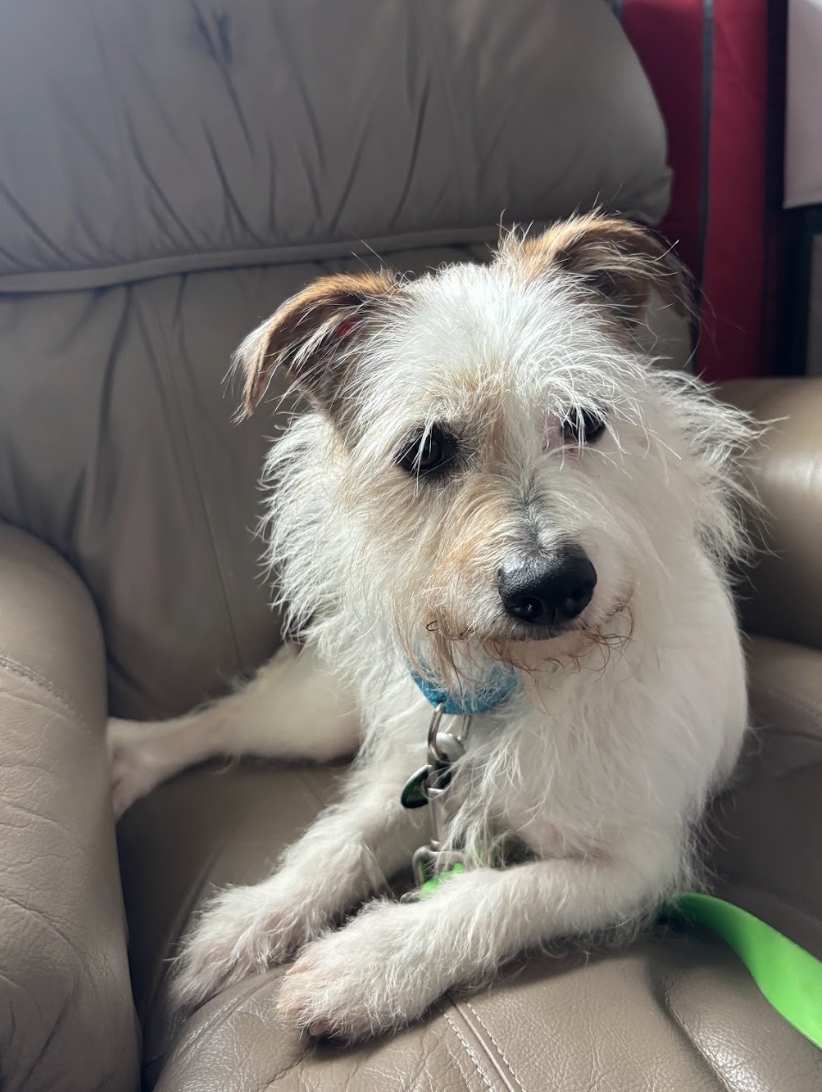 Screenshot 2026-03-10 at 9.16.31 PM.png