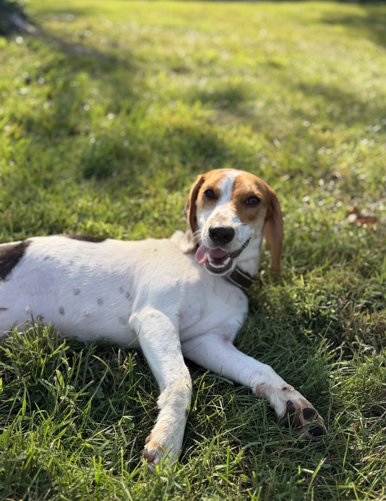 Screenshot 2026-09-14 at 7.23.09 PM.png