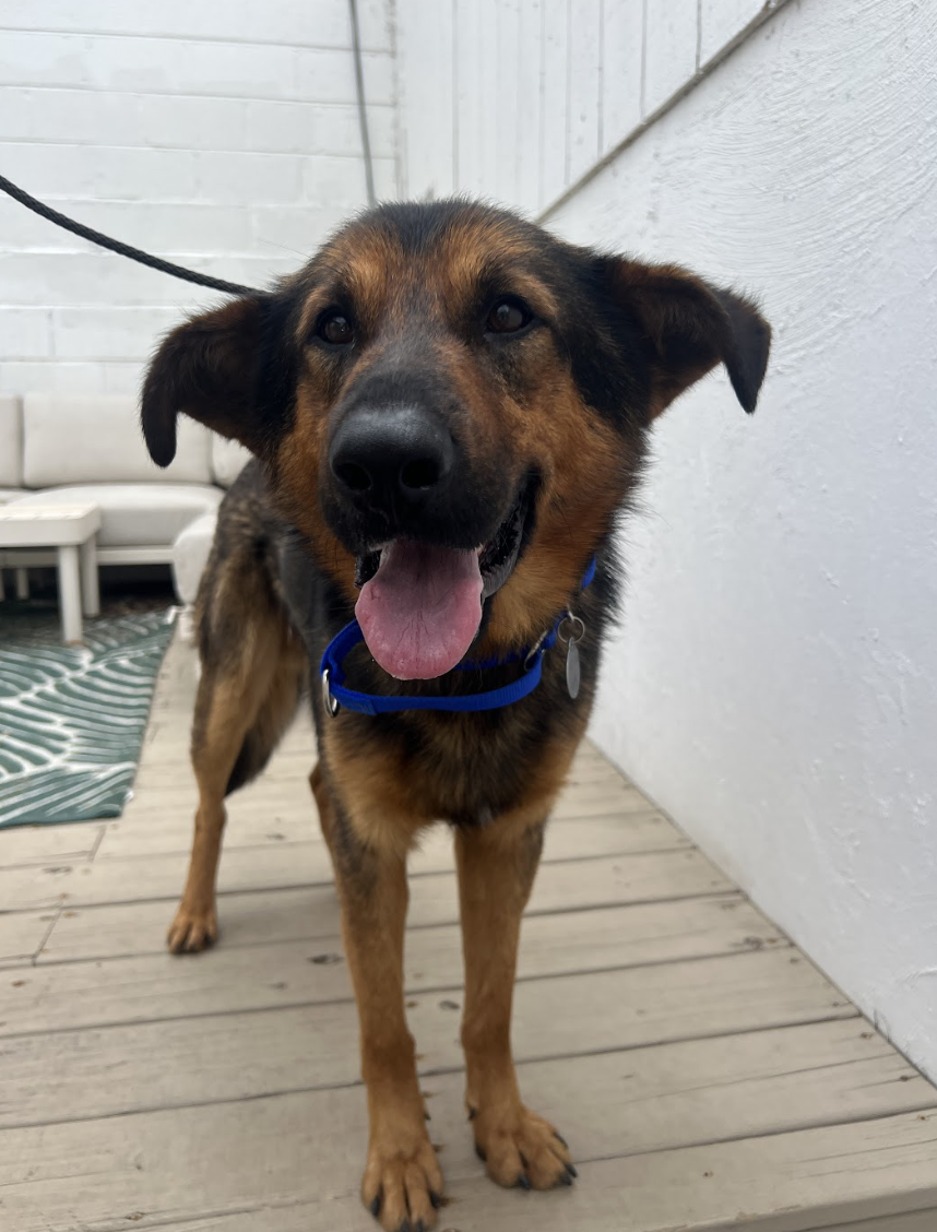 Screenshot 2026-03-26 at 2.24.34 PM.png