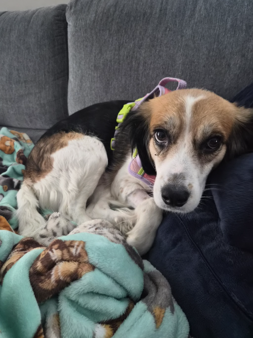 Screenshot 2026-03-17 at 12.01.03 PM.png