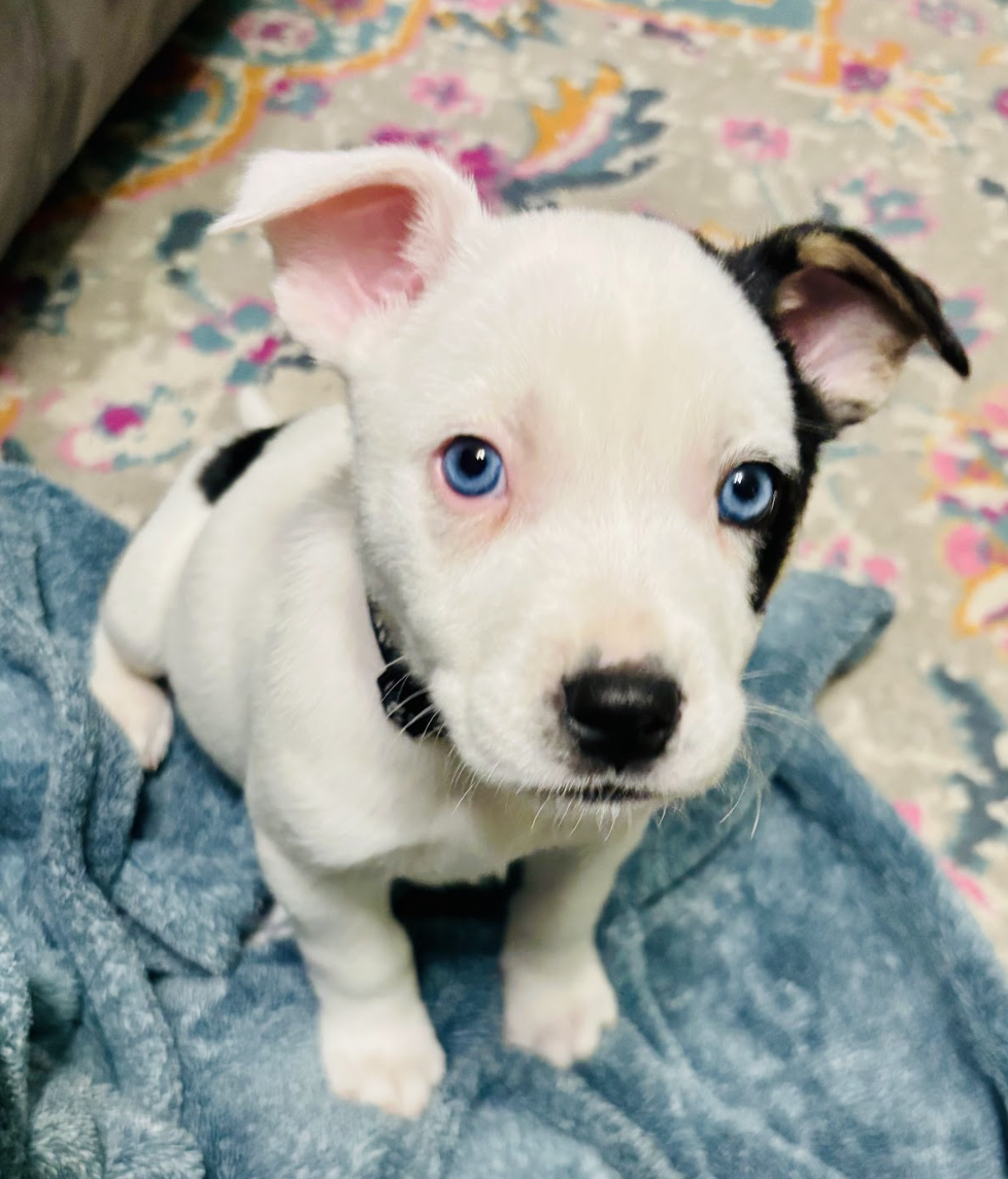 Screenshot 2026-01-15 at 7.49.28 PM.png