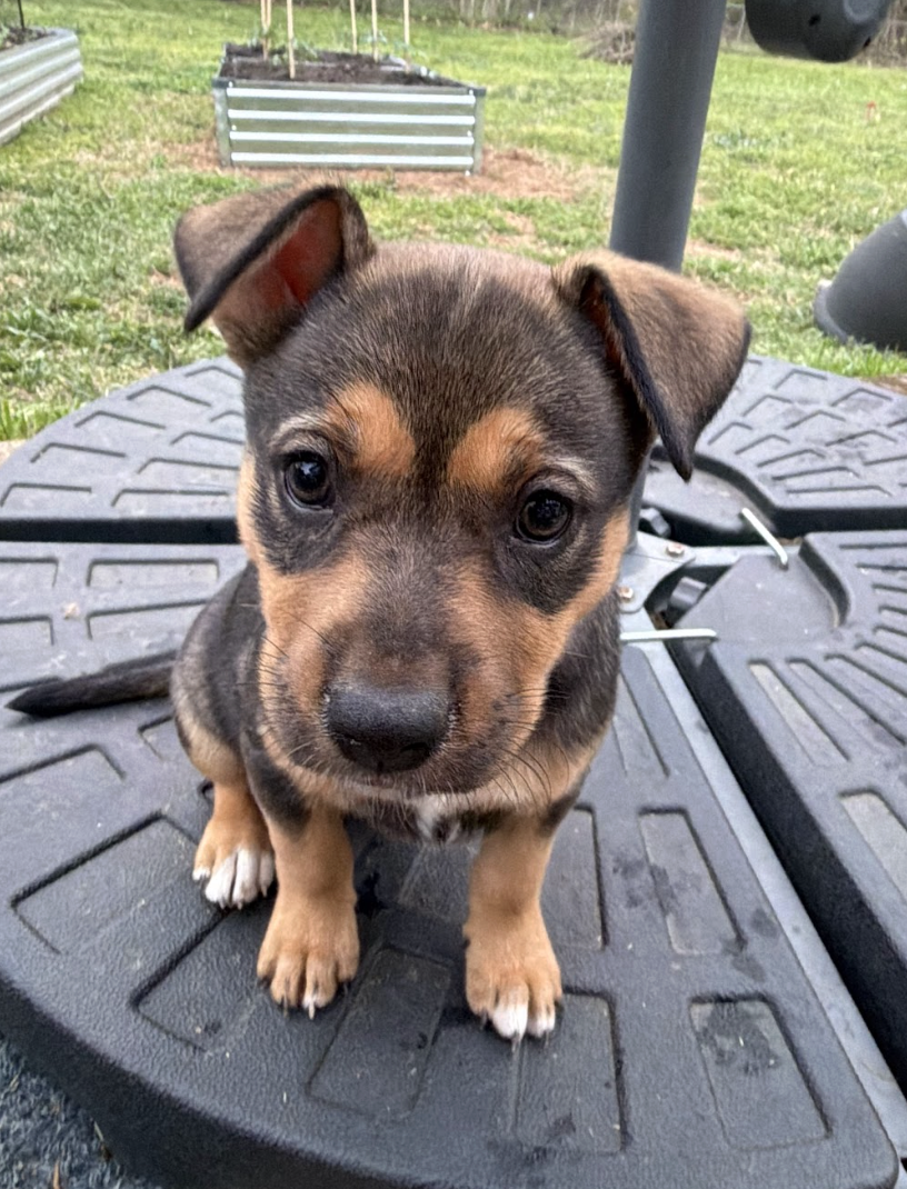 Screenshot 2026-04-07 at 5.08.10 PM.png