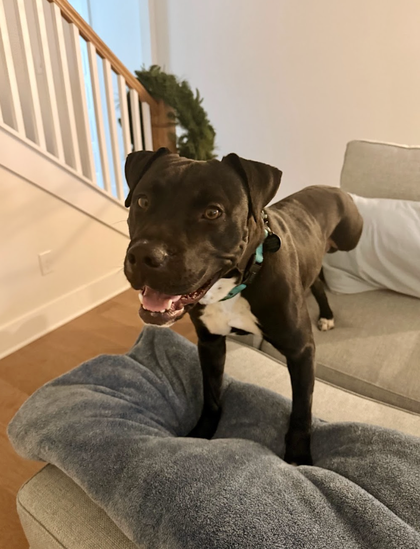 Screenshot 2026-02-26 at 2.17.40 PM.png